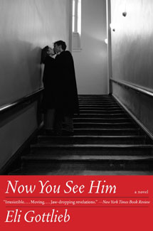 Now You See Him Book Cover