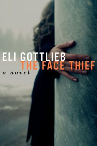 The Face Thief: A Novel Book Cover
